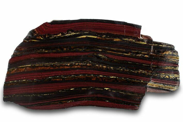 Polished Tiger Iron Stromatolite Slab - Billion Years #319488